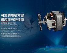 電機定制 | 電機定制要點及電機特性比較